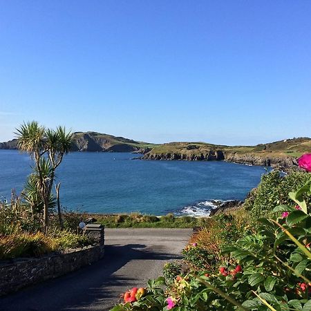 Castlehaven Sandycove House Bed & Breakfast Bed & Breakfast 部屋 写真