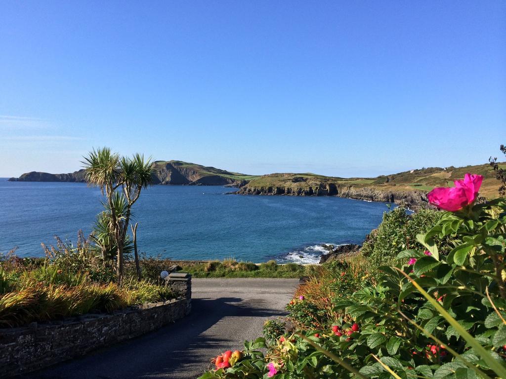 Castlehaven Sandycove House Bed & Breakfast Bed & Breakfast 部屋 写真